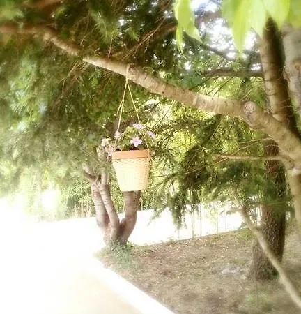 A Casa Di Ninni 公寓 *