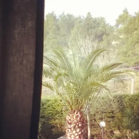 A Casa Di Ninni 公寓 *